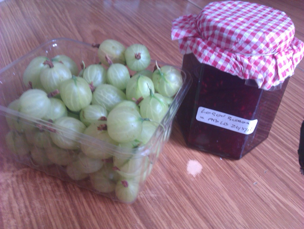 Some alien fruit called "gooseberries" and logan berry jam